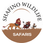 Shafino Wildlife Safaris